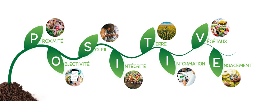 Les grands principes d'un équilibre alimentaire durable sur une plante