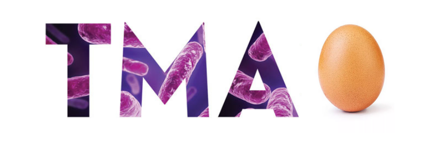 Oeuf et TMAO
