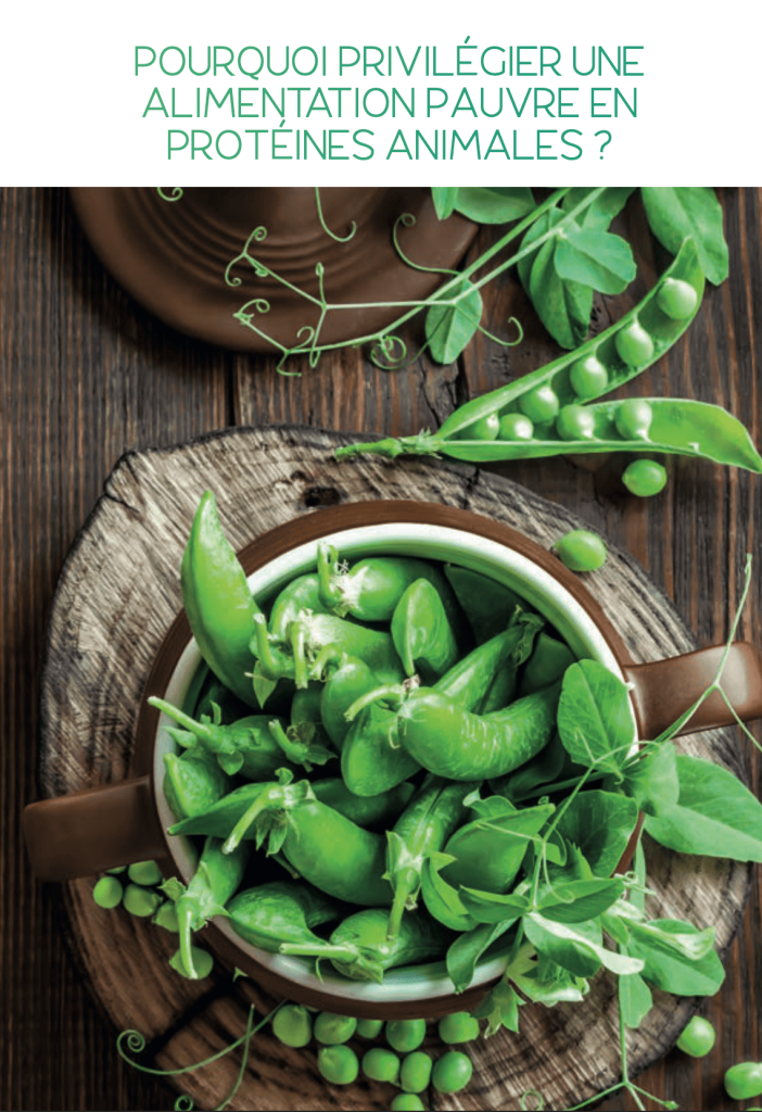 pourquoi-privilégier-une-alimentation-pauvre-en-proteines-animales-livret-anthony-berthou