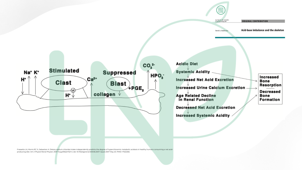 Anthony Berthou - Ostéoporose : et si on arrêtait de se focaliser sur les produits laitiers ?